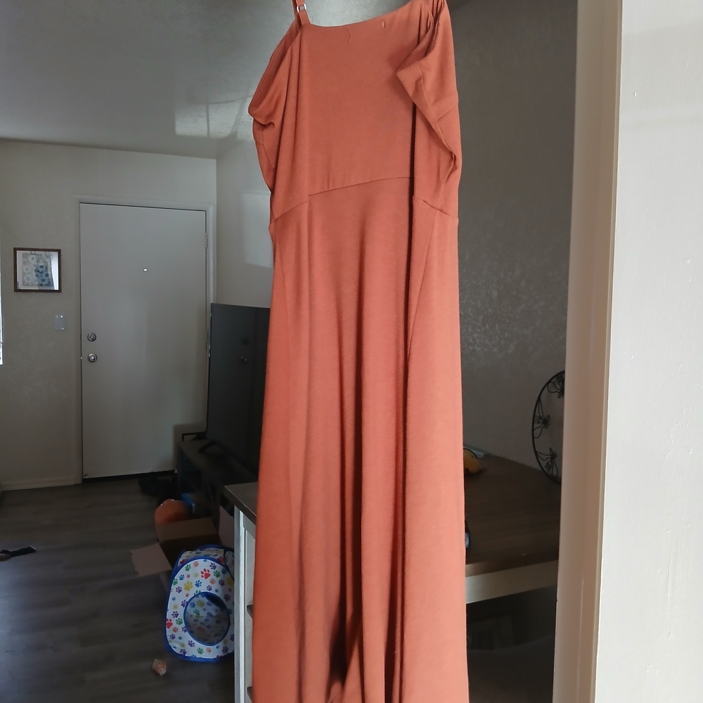 Rust Button-Down Dress - Picture 6 of 8